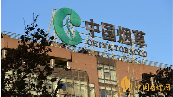 香煙漲價(jià)最新消息2020：香煙漲價(jià)真的能控?zé)焼?>
                                    <span>香煙漲價(jià)最新消息2020：香煙漲價(jià)真的能控?zé)焼?/span>
                                    <p>現(xiàn)在我國(guó)煙民的基數(shù)在不斷增大，而且有越來越多的青少年加入吸煙</p>
                                </a>
                            </li>
                                                                                </ul>
                    </div>

                </div>
            </div>
        </div>
    </div>

    
<link rel=