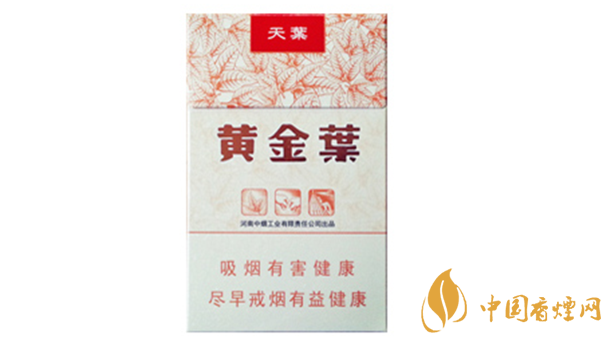 黃金葉天葉真?zhèn)卧趺幢鎰e？天葉真假如何看？