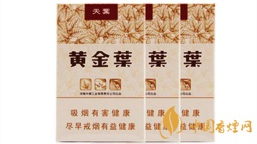 2020黃金葉天葉怎么樣？黃金葉大小天葉有什么不同