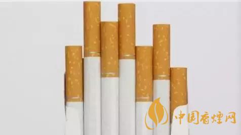 香煙和雪茄哪個好抽？香煙和雪茄八大區(qū)別介紹2020