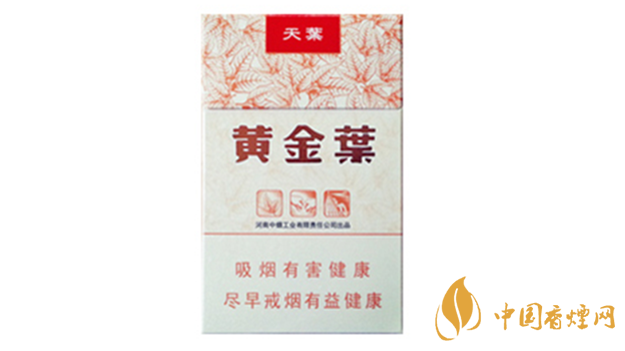 黃金葉天葉真假怎樣區(qū)分？黃金葉天葉真假識(shí)別