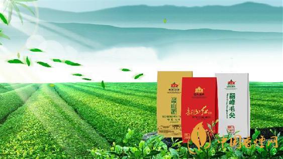 韶峰茶葉多少錢一斤報(bào)價 韶峰茶價格和圖片查詢