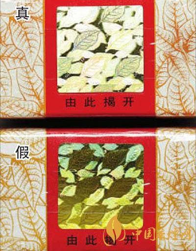 黃金葉天葉怎么區(qū)分 黃金葉天葉最新區(qū)分方法