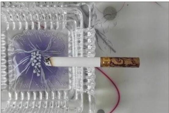 黃鶴樓漫天游，除了短貴沒別的毛病