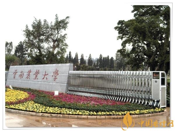 煙草專業(yè)大學(xué)排名，煙草專業(yè)就業(yè)前景好