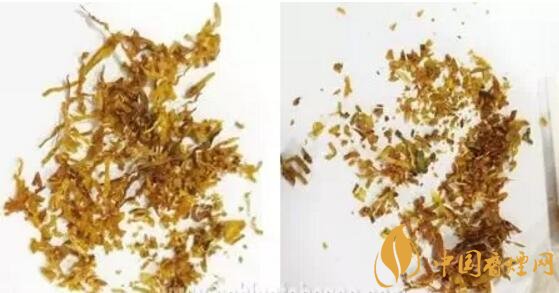 冬蟲夏草（和潤(rùn)）真假鑒別，春節(jié)防止被騙