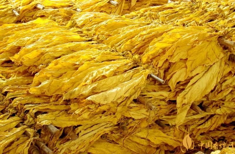 朱砂煙到底是什么煙，云煙朱砂煙有哪幾款