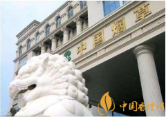 國家發(fā)話了：煙草系統(tǒng)腐敗制度不夠透明必須整治！