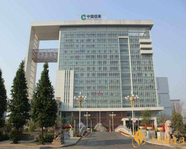 3.5億煙民1年為國家貢獻1.2億！專家：卷煙太便宜，要漲價